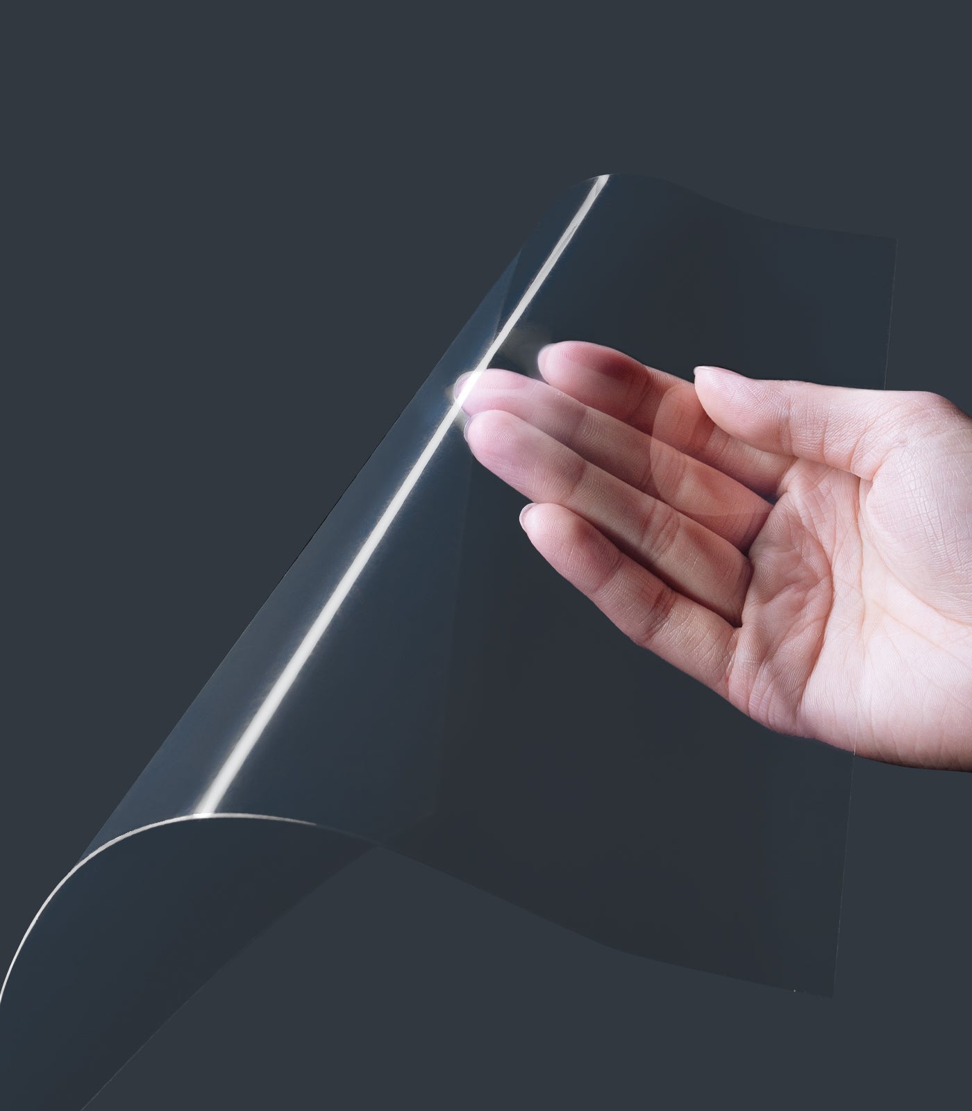 Phrozen FEPフィルム